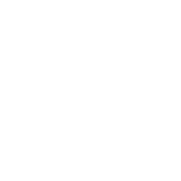 Program Icon